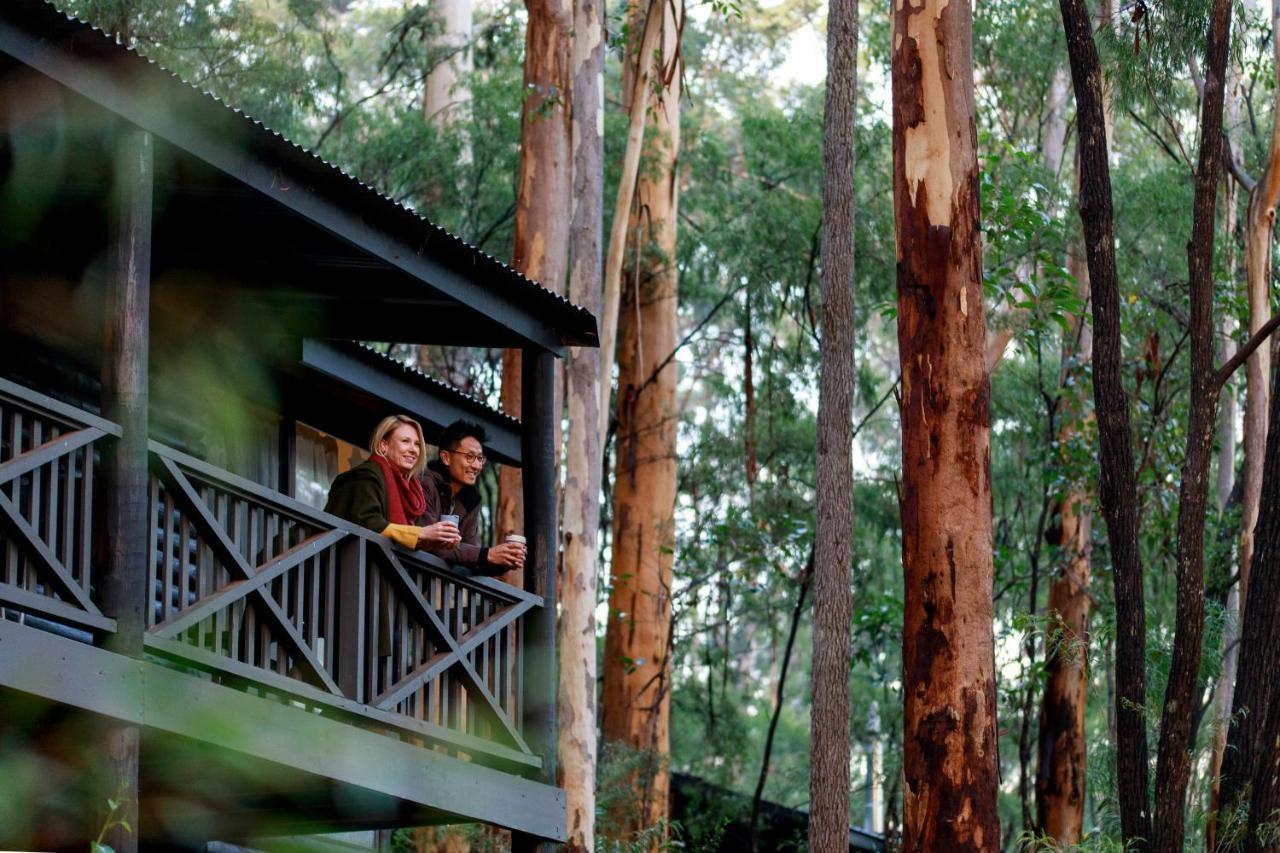 Rac Karri Valley Resort Pemberton Exterior photo
